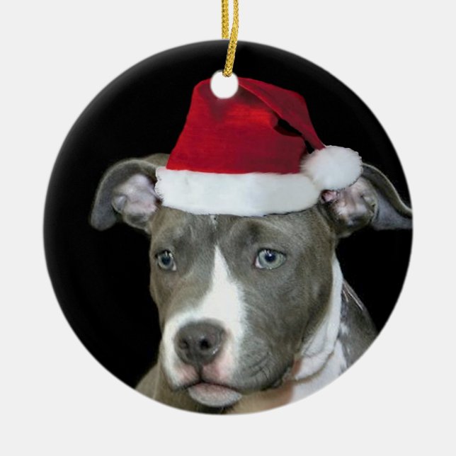 Adorno De Cerámica Perrito azul del pitbull del navidad (Frente)