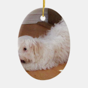 Adorno De Cerámica Perrito blanco de Havanese que juega con la bola