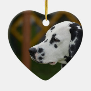 Adorno De Cerámica Perrito dálmata lindo