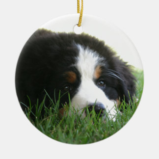 Adorno De Cerámica Perrito de Bernese