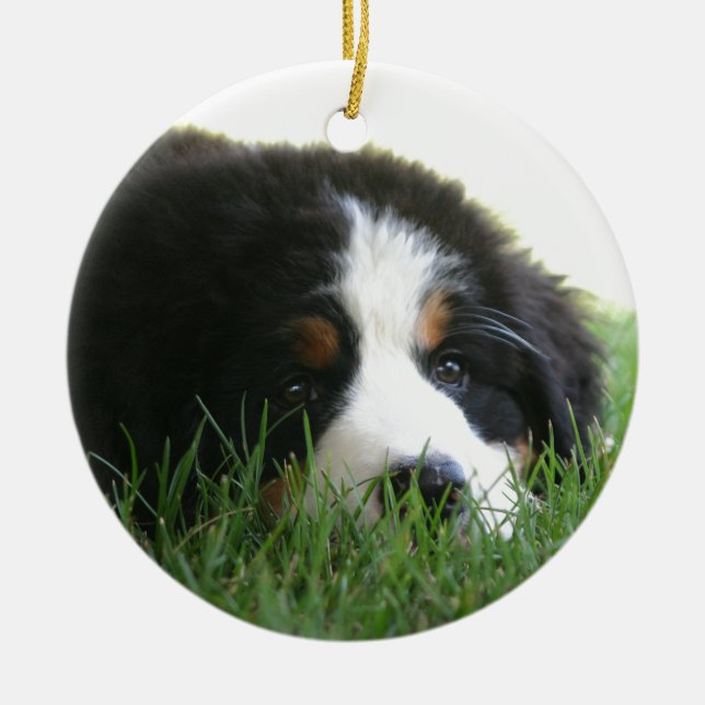 Adorno De Cerámica Perrito de Bernese (Frente)