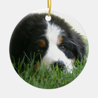 Adorno De Cerámica Perrito de Bernese