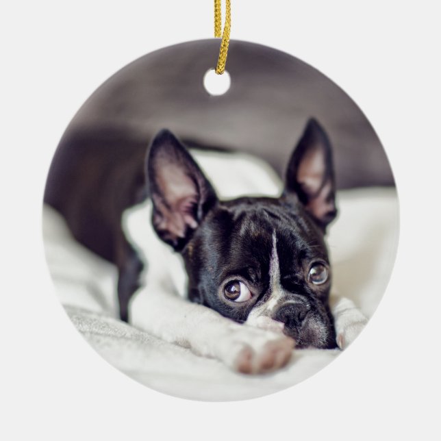 Adorno De Cerámica Perrito de Boston Terrier (Frente)