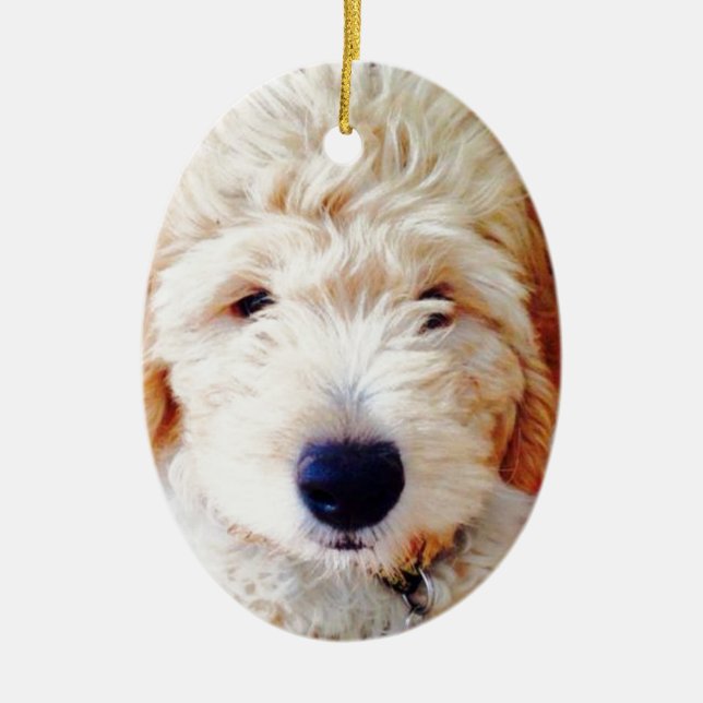 Adorno De Cerámica Perrito de Goldendoodle (Frente)