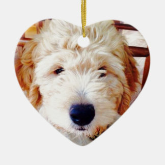 Adorno De Cerámica Perrito de Goldendoodle