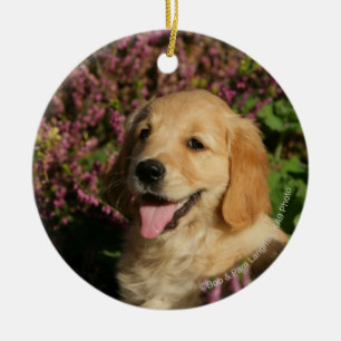 Adorno De Cerámica Perrito de oro de Retreiver