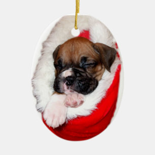 Adorno De Cerámica Perrito del boxeador en el navidad que almacena el