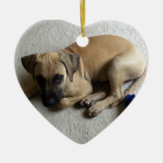 Adorno De Cerámica perrito del cur de la Negro-boca con el juguete (Frente)