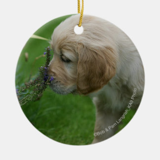 Adorno De Cerámica Perrito del golden retriever