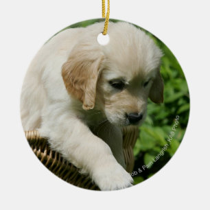 Adorno De Cerámica Perrito del golden retriever en cesta