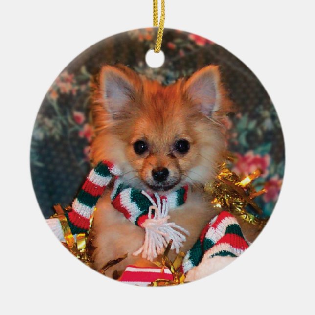 Adorno De Cerámica Perrito del navidad (Frente)