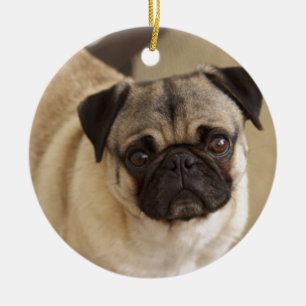 ADORNO DE CERÁMICA PERRITO DEL PERRO DEL BARRO AMASADO
