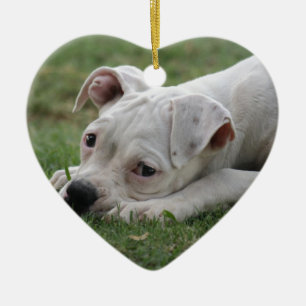 Adorno De Cerámica Perrito dulce del boxeador