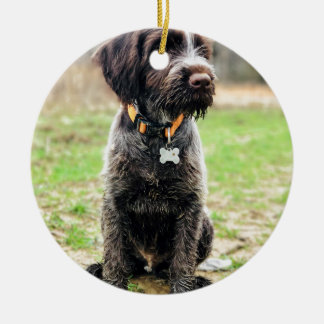 Adorno De Cerámica Perrito el señalar Griffon Wirehaired