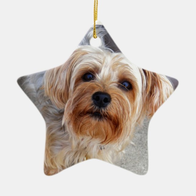 Adorno De Cerámica Perrito feliz de Yorkie (Frente)