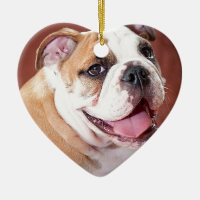 Adorno De Cerámica Perrito inglés del bulldog (Frente)