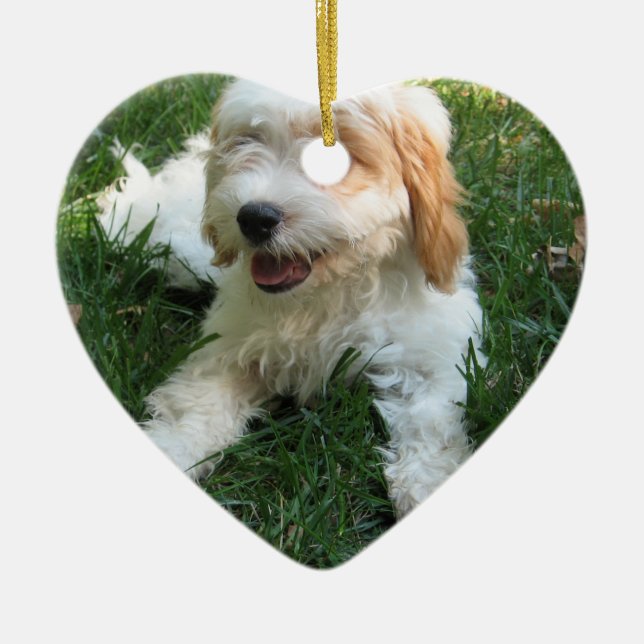 ADORNO DE CERÁMICA PERRITO LINDO DE CAVAPOO (Frente)