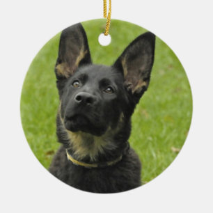 Adorno De Cerámica Perrito negro y del moreno GSD
