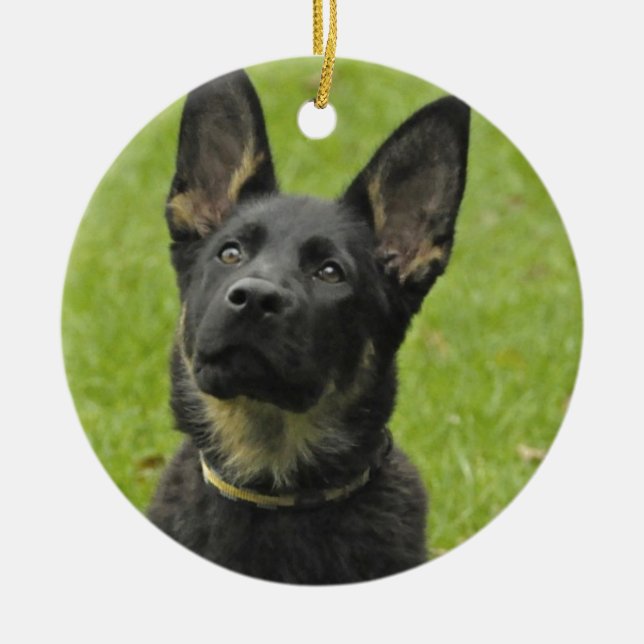 Adorno De Cerámica Perrito negro y del moreno GSD (Frente)