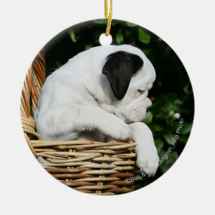 Adorno De Cerámica Perritos del boxeador en cesta
