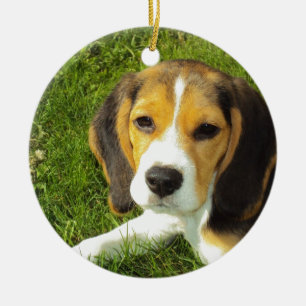 Adorno De Cerámica Perro Beagle Animales Domésticos Paz Amor