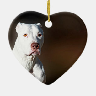 Adorno De Cerámica Perro blanco del rescate de Pitbull Terrier del