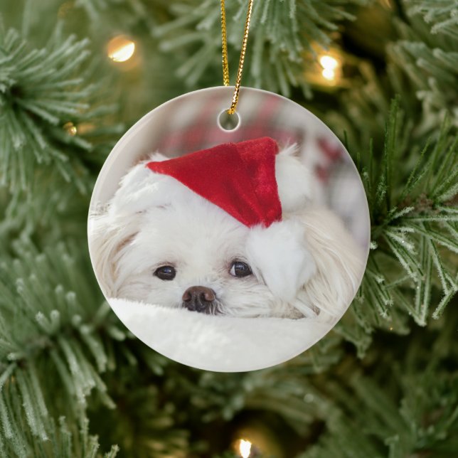 Adorno De Cerámica Perro blanco lindo en un Gorra de Navidades rojos (Árbol)
