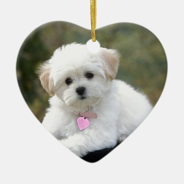 Adorno De Cerámica Perro blanco mullido (Frente)