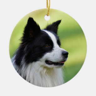 Adorno De Cerámica Perro Border Collie negro y blanco