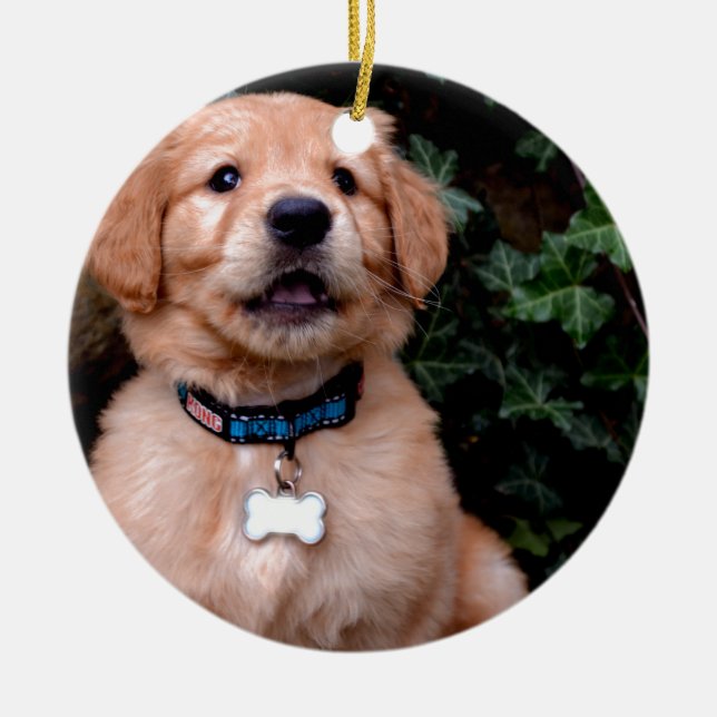 Adorno De Cerámica Perro cachorro lindo Golden Retriever Puppy (Frente)