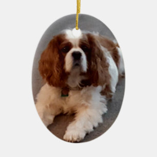 Adorno De Cerámica Perro de aguas de rey Charles arrogante adorable