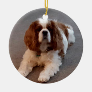 Adorno De Cerámica Perro de aguas de rey Charles arrogante adorable