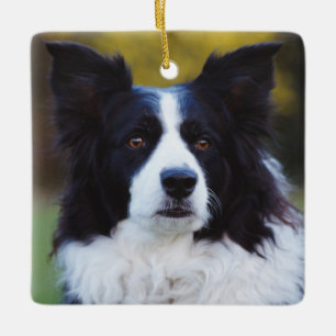 Adorno De Cerámica Perro de Collie de borde
