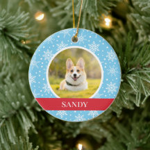 Perro de copo de nieve azul