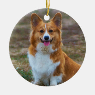 Adorno De Cerámica Perro de corgi galés