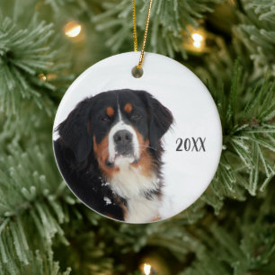 Adorno De Cerámica Perro de montaña personalizable Bernese