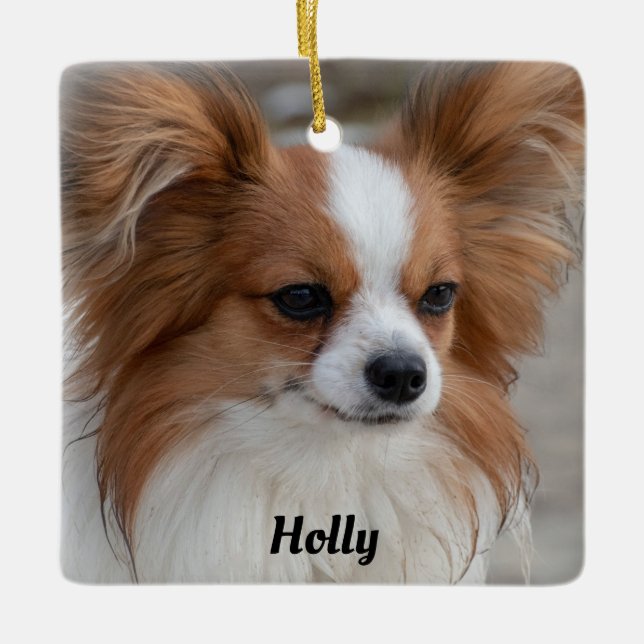 Adorno De Cerámica Perro de Papillon amigable y personalizado (Anverso)