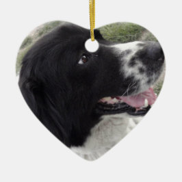 Adorno De Cerámica Perro de pastor búlgaro de Sara