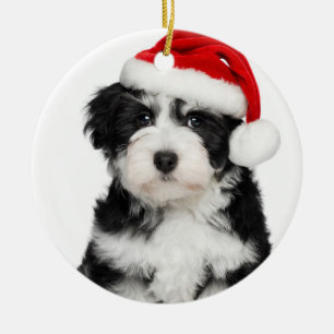 Adorno De Cerámica Perro de perrito de Havanese del navidad