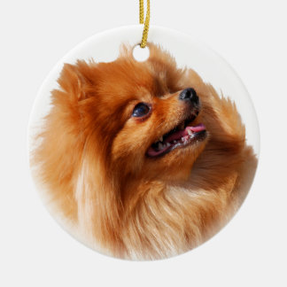 Adorno De Cerámica Perro de Pomerania de Pomeranian