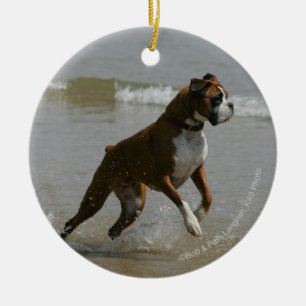 Adorno De Cerámica Perro del boxeador en agua