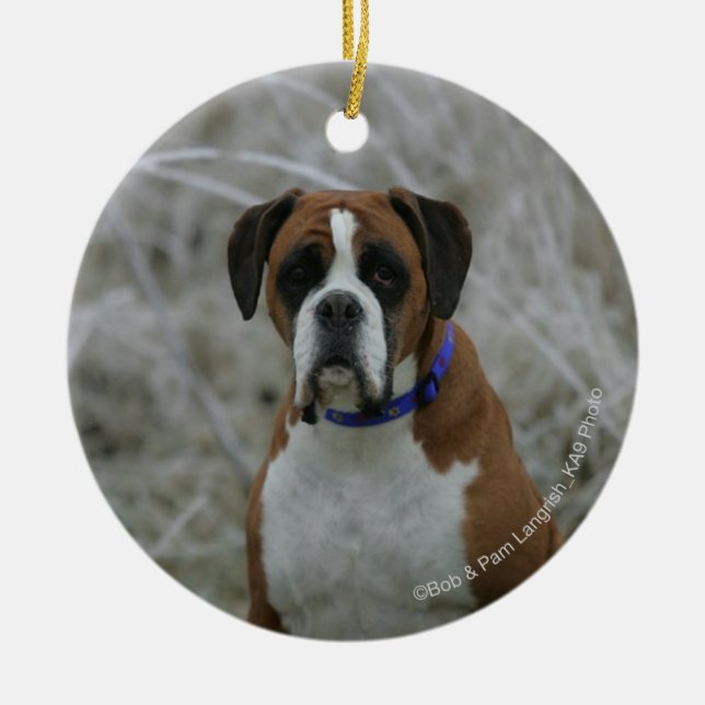 Adorno De Cerámica Perro del boxeador que se sienta en el Frost (Frente)