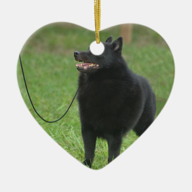 Adorno De Cerámica Perro del Schipperke (Frente)