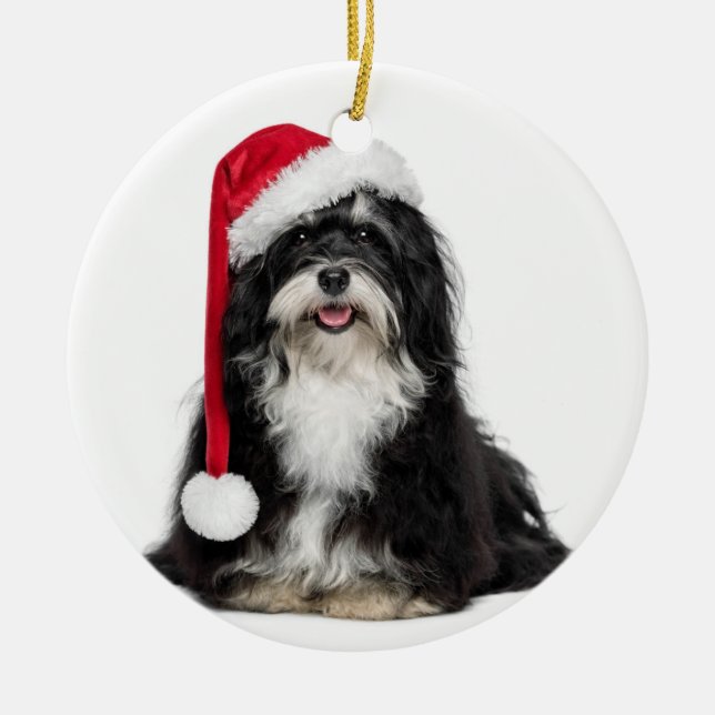 Adorno De Cerámica Perro divertido de Havanese del navidad con el (Frente)