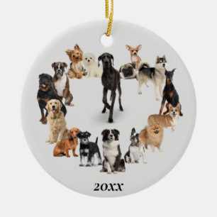 Adorno De Cerámica Perro divertido Raza Mascota Animales Perro Camina