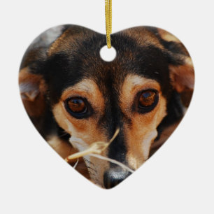 Adorno De Cerámica Perro dulce tendido en heno