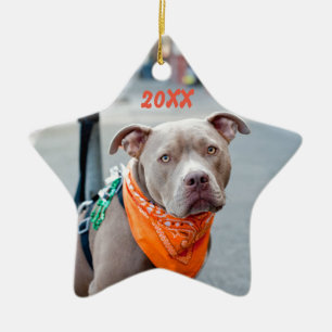 Adorno De Cerámica Perro Editable con el pañuelo
