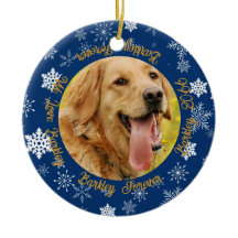 Perro entonces y ahora 2 foto Copo de nieve azul