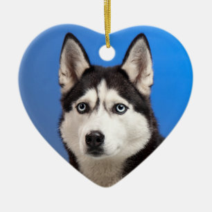 Adorno De Cerámica Perro espumoso cutáneo siberiano
