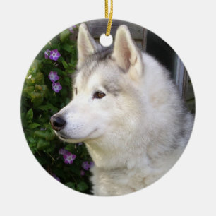 Adorno De Cerámica Perro espumoso siberiano Husky